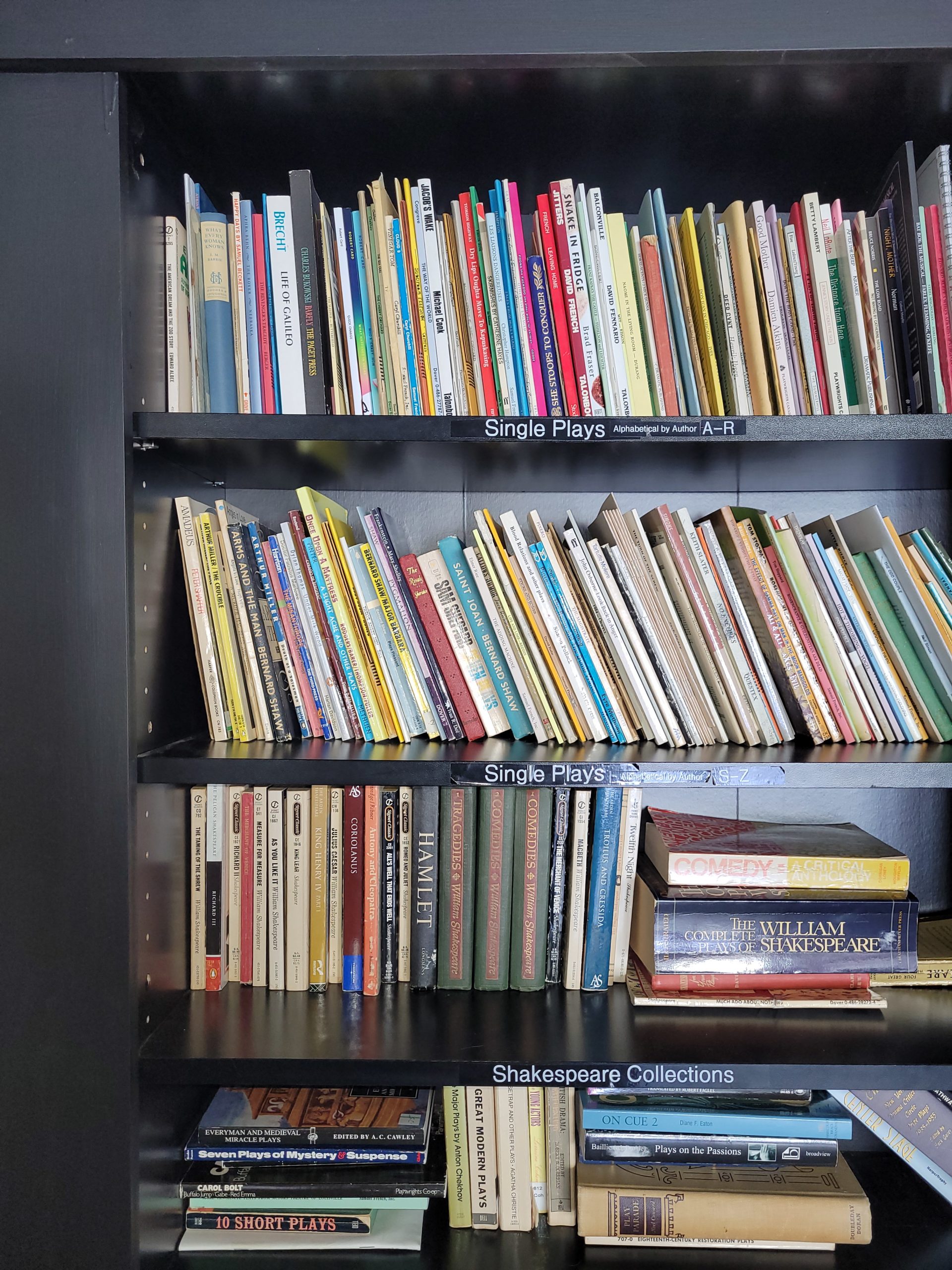 Bookshelves full of play scripts