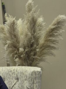 Pampas grass behind a chair with a subtle leopard-spot print